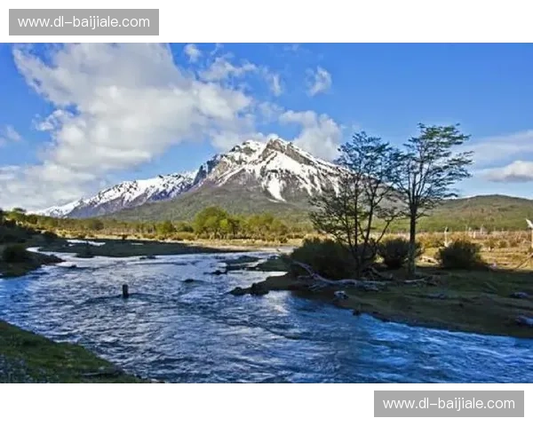 硝烟再起!阿根廷与智利,南美德比的宿命与激情