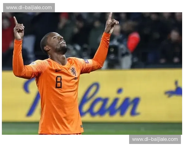 2008荷兰vs法国：橙色风暴下的法国之殇，一场注定载入史册的对决